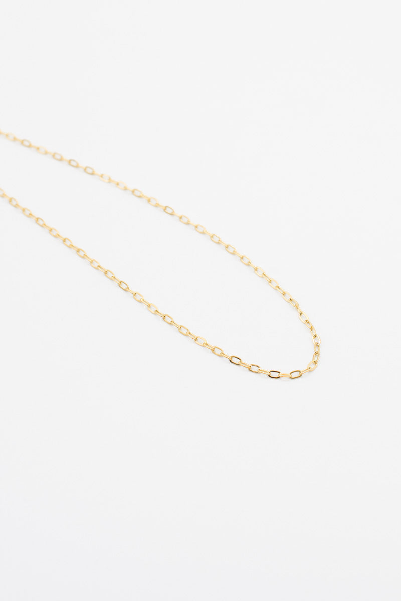 Thin Delicate Chain Necklace - Gold Plated – Style Addict®